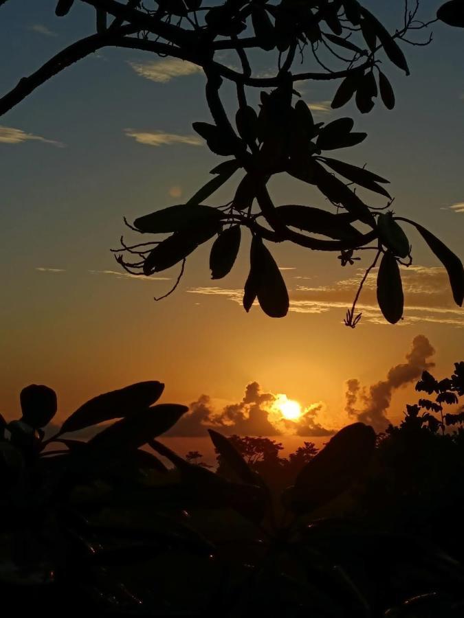 Finca Los Caballos Montezuma Dış mekan fotoğraf