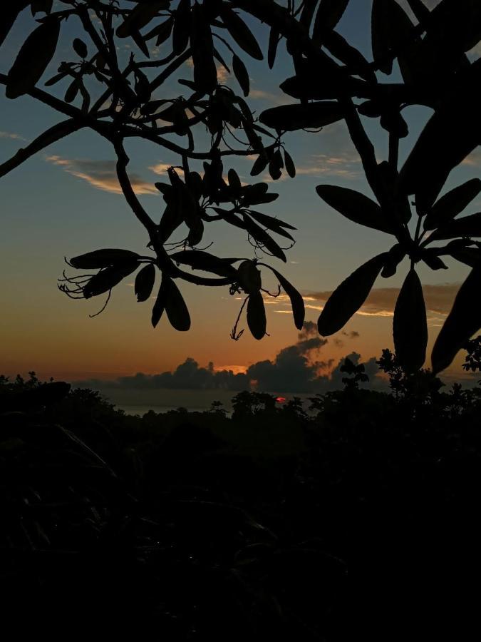 Finca Los Caballos Montezuma Dış mekan fotoğraf