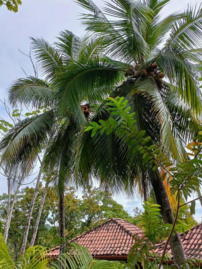 Finca Los Caballos Montezuma Dış mekan fotoğraf