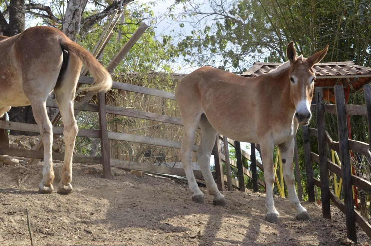 Finca Los Caballos Montezuma Dış mekan fotoğraf