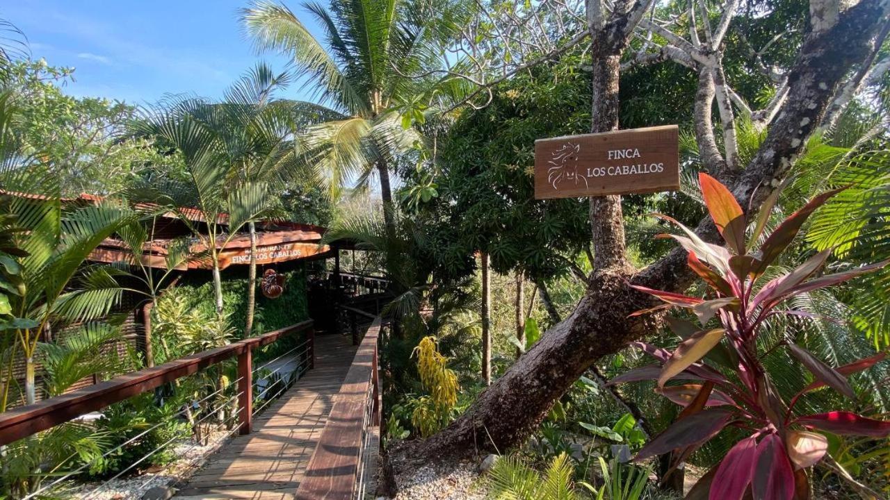 Finca Los Caballos Montezuma Dış mekan fotoğraf