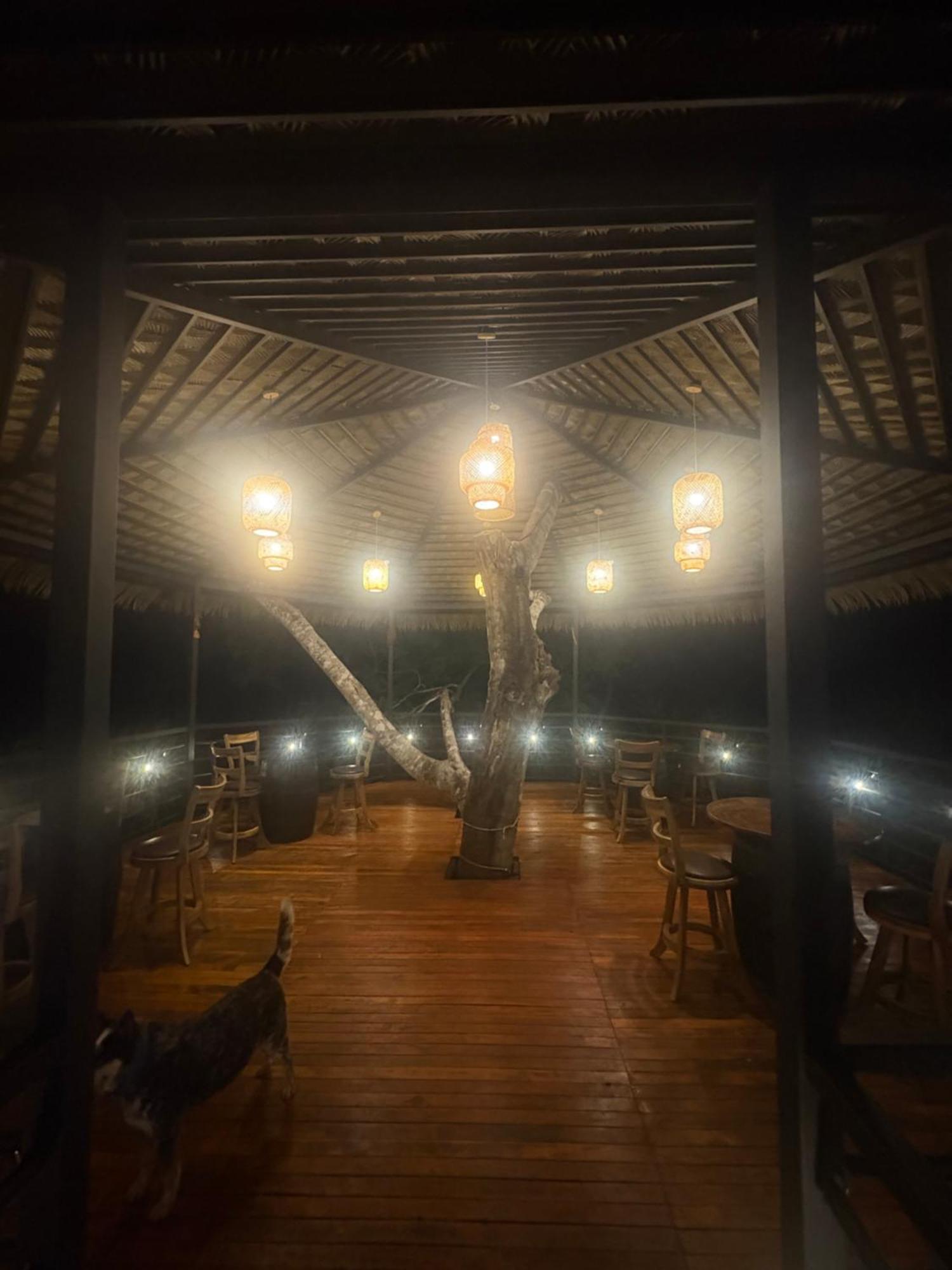 Finca Los Caballos Montezuma Dış mekan fotoğraf